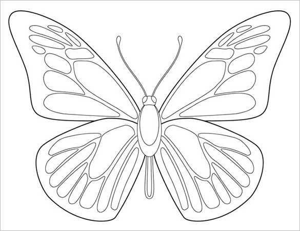 Butterfly Body Outline Templates