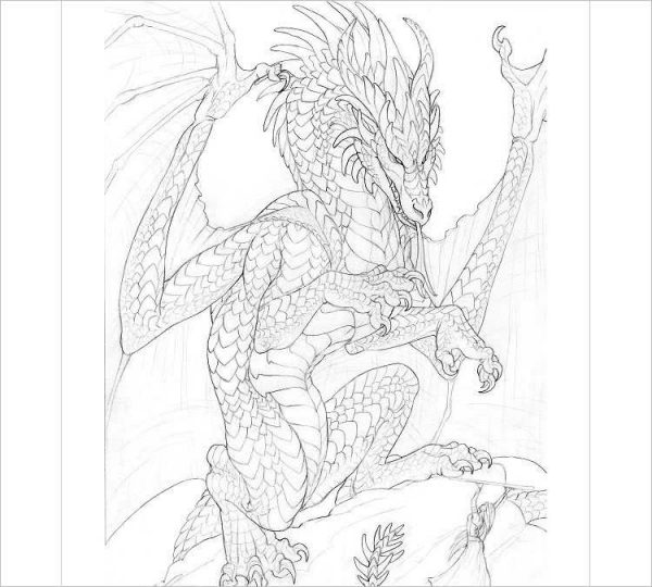 26+ Dragon Pencil Drawing Free Sketch Designs | Creative Template