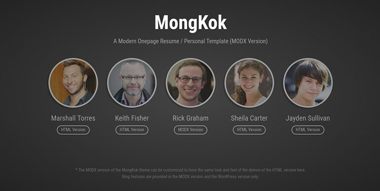Multipurpose One Page Marketing MODX Theme