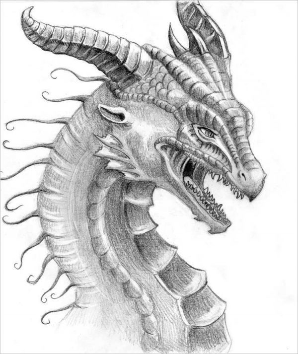 Captivating Dragon Pencil Drawings for Art Enthusiasts