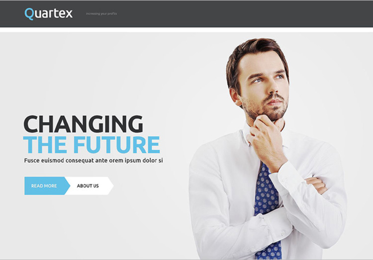 Professional-Business-WordPress-Template