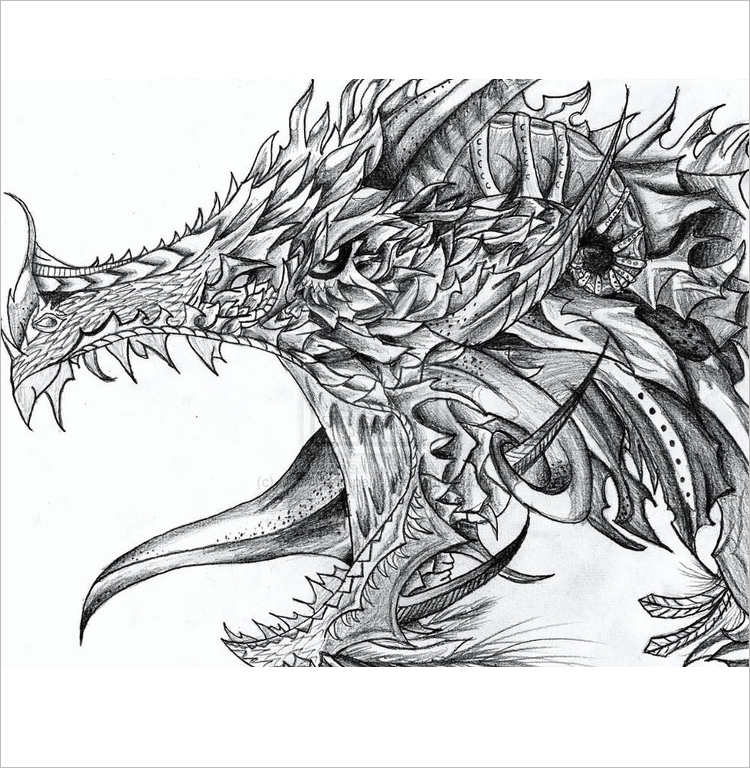 26 Dragon Pencil Drawing Free Sketch Designs Creative Template