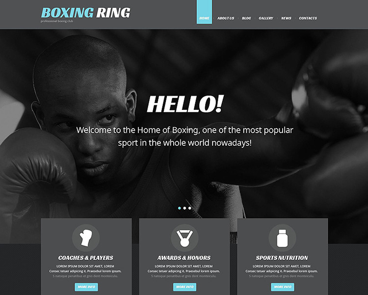 Sports WordPress Templates & Templates
