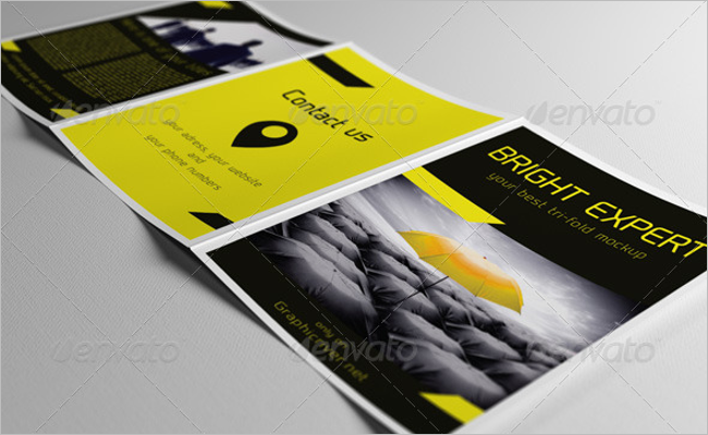 36 A5  Brochure  Mockups PSD Free Download Creativetemplate