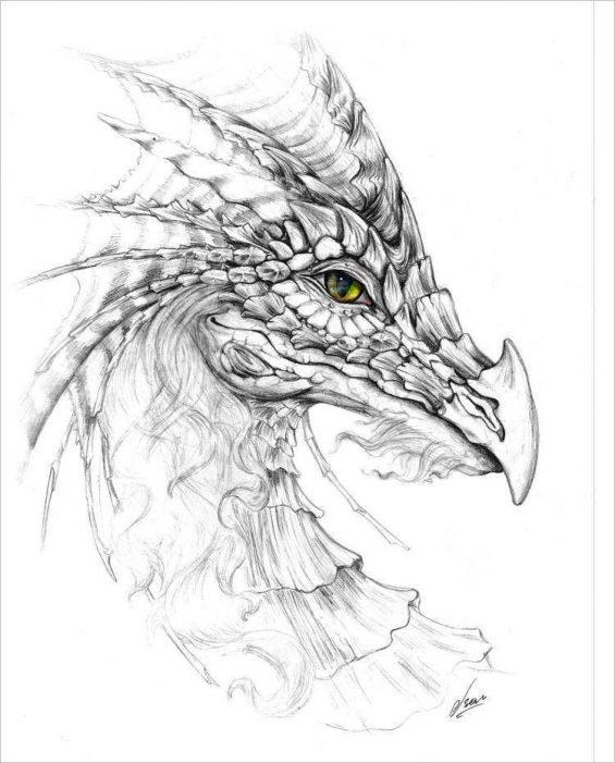 Captivating Dragon Pencil Drawings for Art Enthusiasts