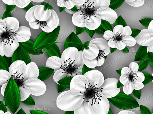 cherry blossms 1