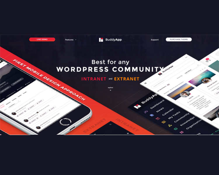 Buddypress WordPress Intranet Template