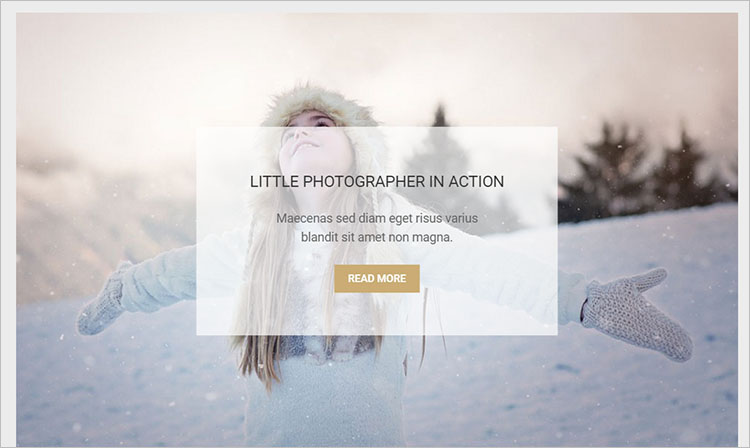 Coolart Photography Theme Templates
