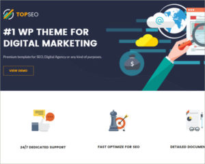 Digital Marketing WordPress Theme