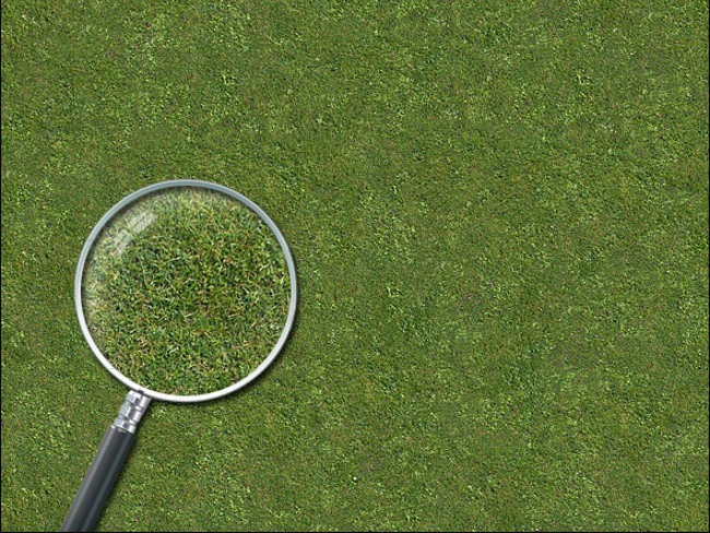 Lawn Fawn Texture Design
