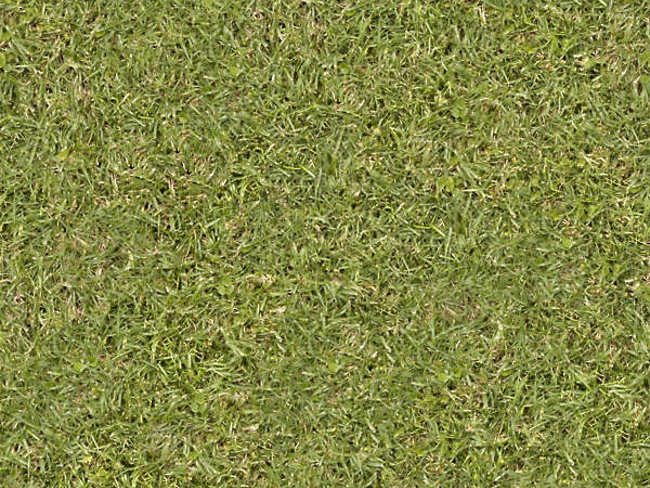 Lawn Grass Texture Design