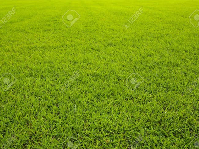 Lawn Making Texture Design