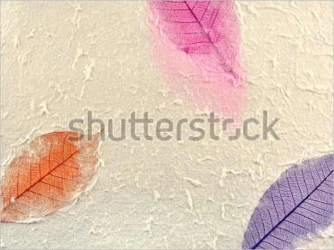 Mulberry Paper Leaf Texture
