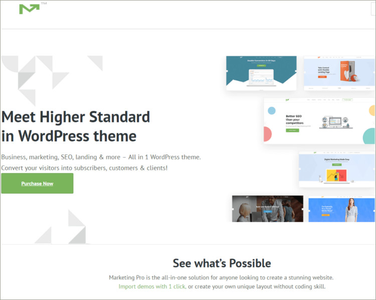 Online Marketing WordPress Theme