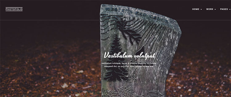 Photography Agency Theme Templates