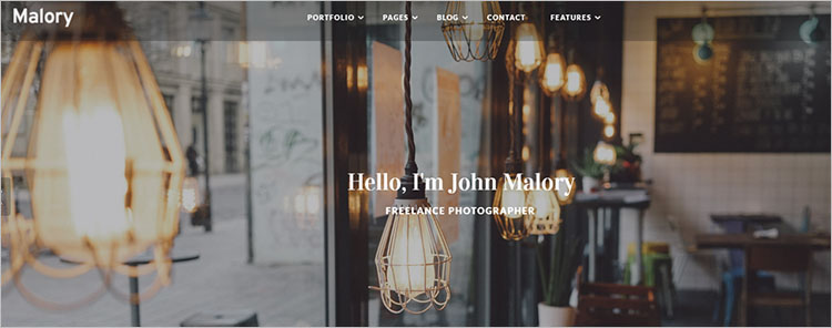 Photography Design Theme Templates