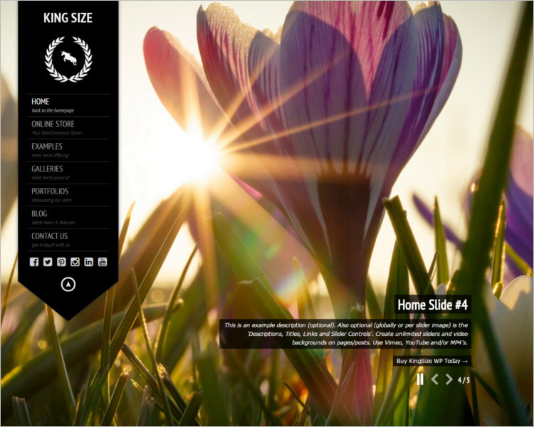 Photography Selling WordPress theme