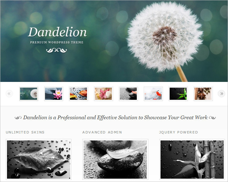 Portfolio Selling WordPress Theme