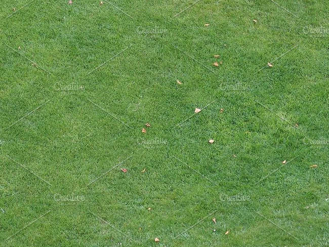 Premium Lawn Texture Design