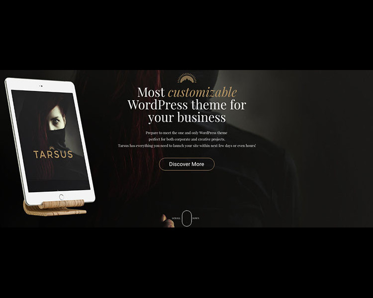 Profitabel Selling WordPress Themes