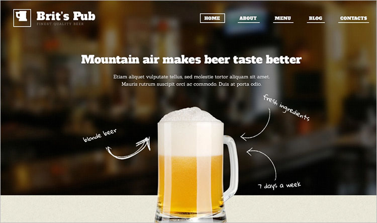 Responsive Modern Pub WordPress Theme Templates