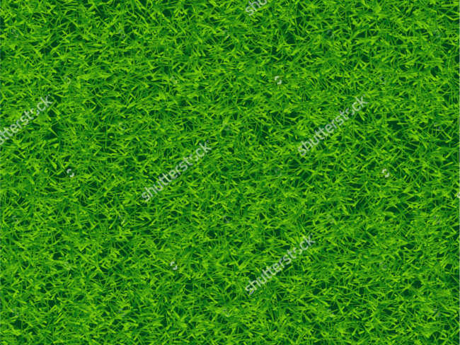 Vector lawn texture design