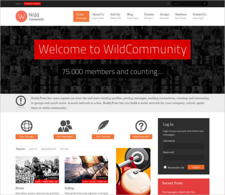 WordPress Jetpack Buddypress Template