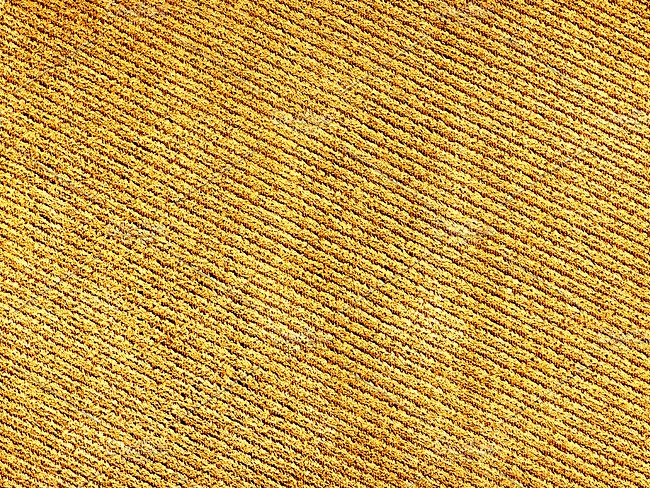 Woven Fabric Analysis Texture