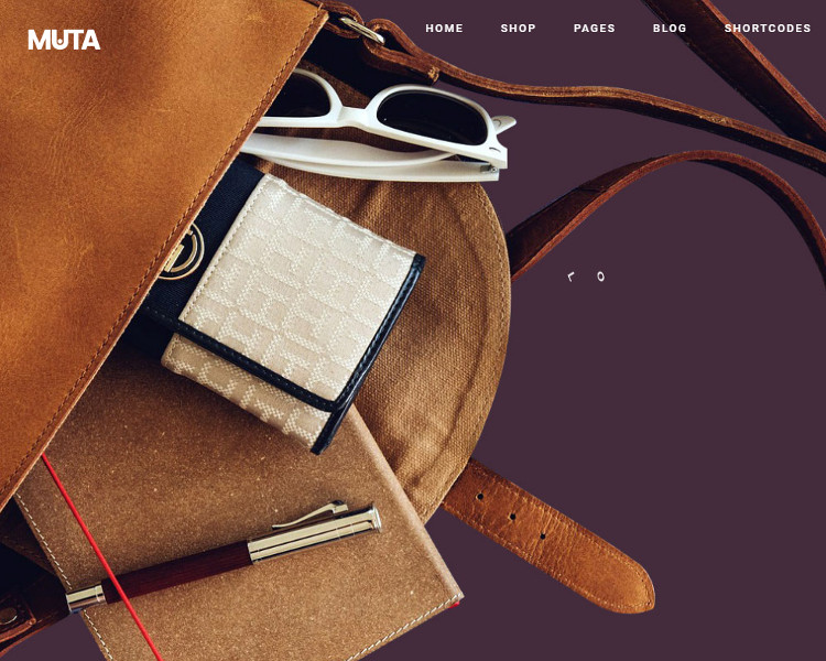 e-commerce Selling WordPress Themes