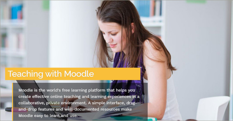 Professional Moodle Themes