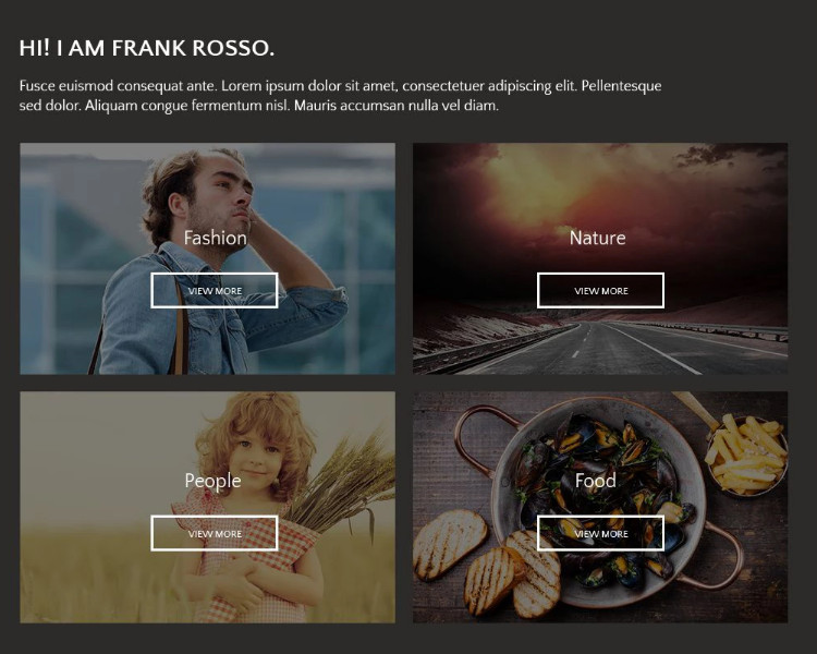 photographer portifolio theme
