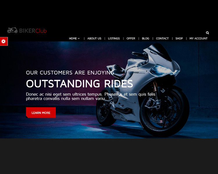 premium wordpress templates