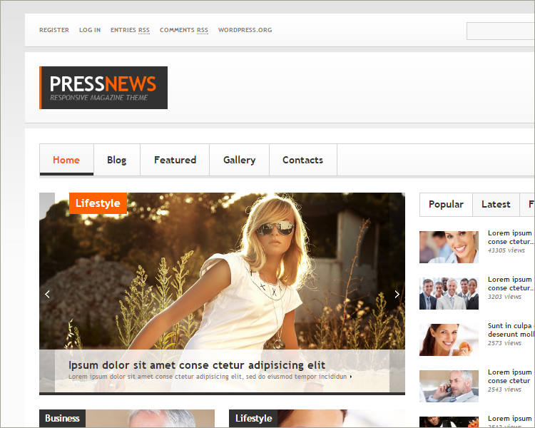 press news wp theme