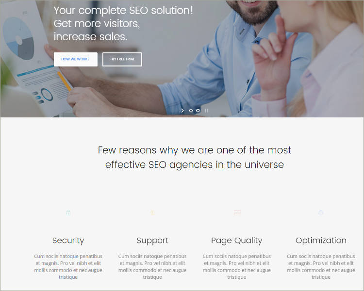 seo wordpress template