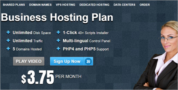 Business Hosting WordPress template