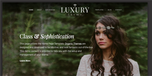 Elegant Photo Blog WordPress Template