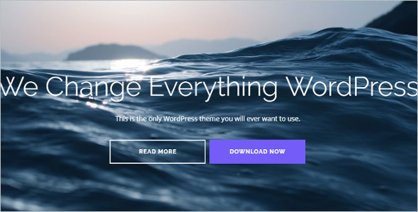 Flat Pixel Perfect Design WordPress Template