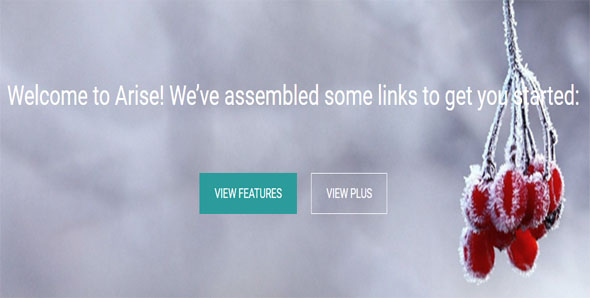 Full-Screen Business Website Template