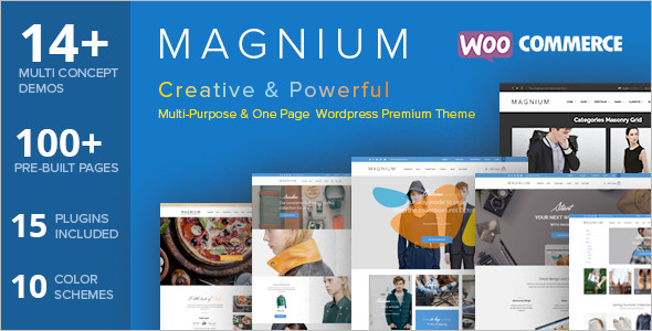 Online Store WordPress Template