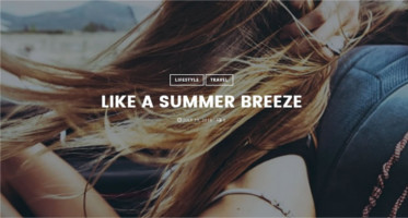 WordPress Photo blog Themes