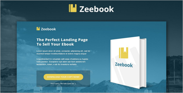 Professional Ebook landing Page Template