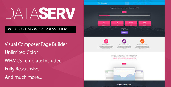 Professional Hosting WordPress template