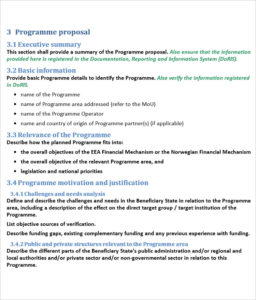17+ Program Templates Free Word, PSD Formats