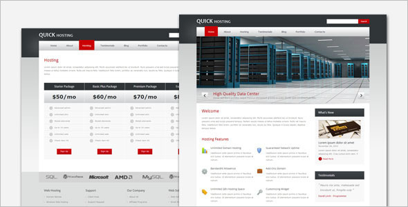 Quick Hosting WordPress Template
