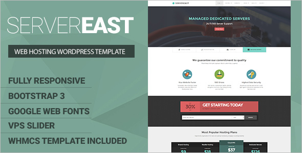 Server Hosting WordPress Template