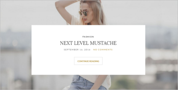 Stylish Author WordPress Theme