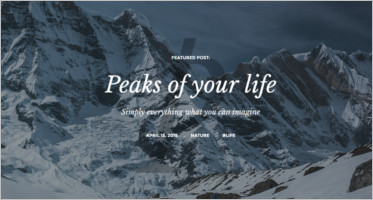 WordPress Platform Themes