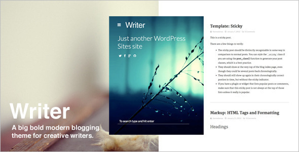 Writer Blod WordPress Template