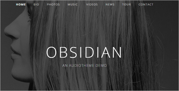 Audiotheme Music WordPress Template