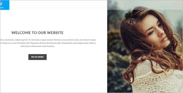 Celebraty Marketing WordPress template